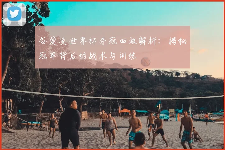 谷爱凌世界杯夺冠回放解析：揭秘冠军背后的战术与训练