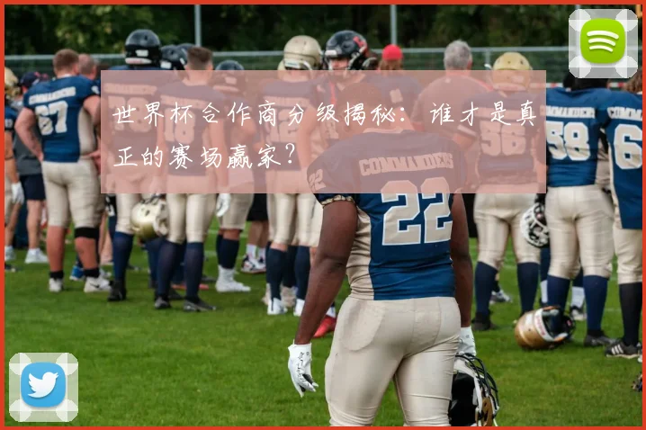 世界杯合作商分级揭秘：谁才是真正的赛场赢家？