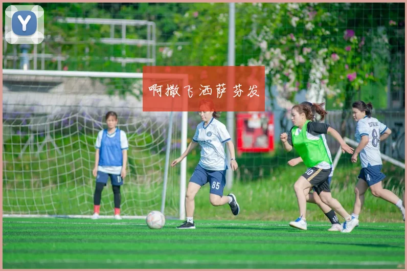 世界杯各队阵容实力对比：从前锋到门将的全面分析